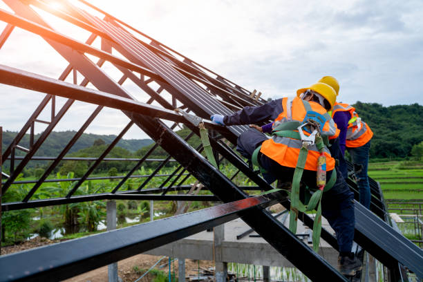 Best Roof Repair Services  in Genoa City, WI