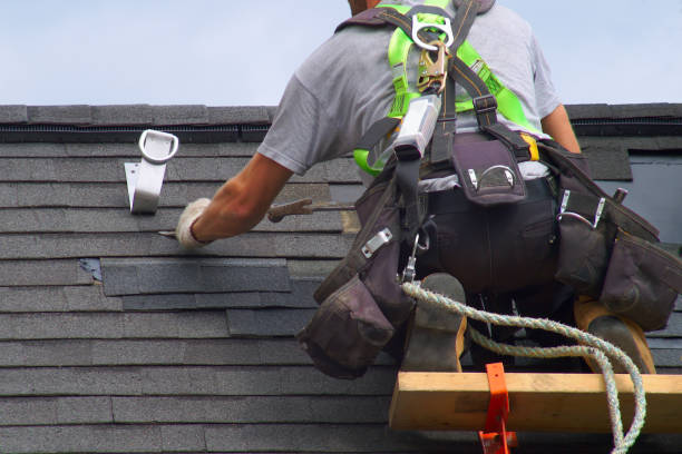 Best Roof Gutter Cleaning  in Genoa City, WI