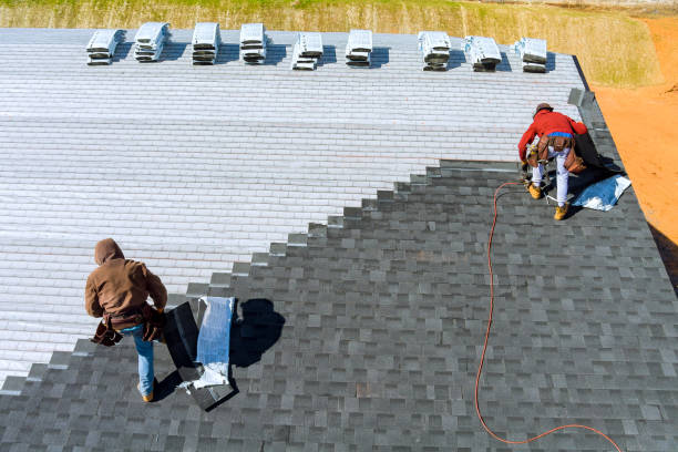Best Residential Roof Replacement  in Genoa City, WI