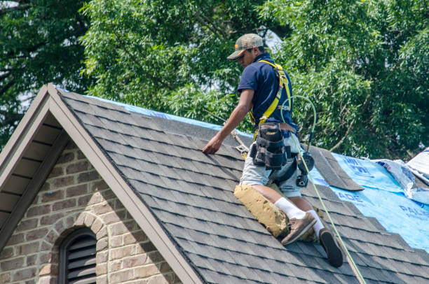 Best Gutter Installation and Roofing  in Genoa City, WI